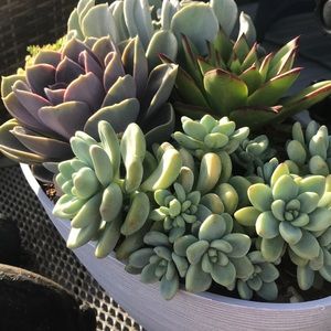 Meet your Posher, Jocelyn